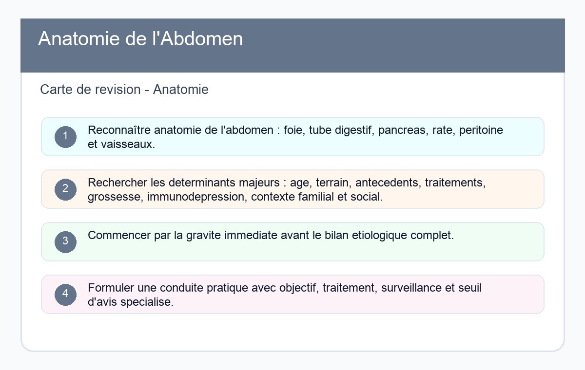 Anatomie de l'Abdomen