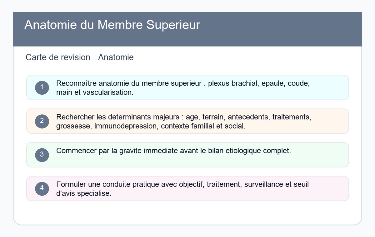 Anatomie du Membre Supérieur