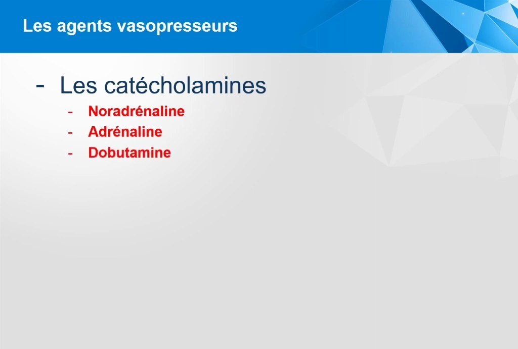 Amines et Catécholamines