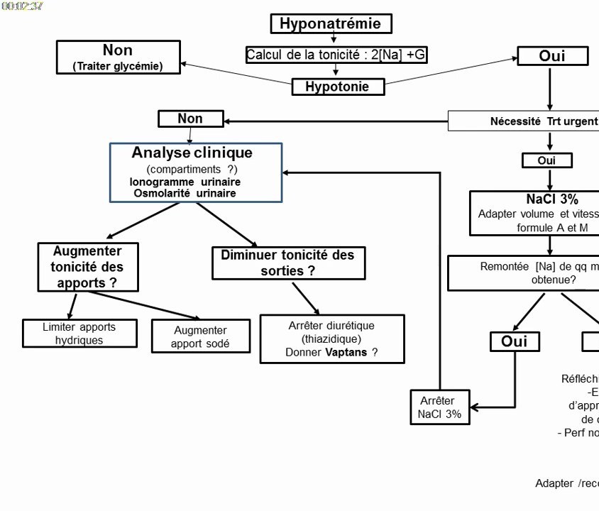 Troubles Hydro-Électrolytiques et Acido-Basiques en Réanimation