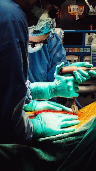 Endocardite infectieuse sur prothèse