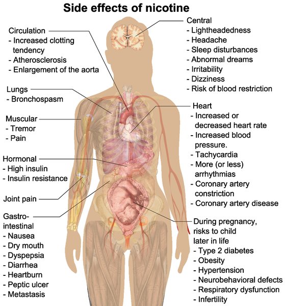 Patient polyathéromateux : bilan multi-territorial