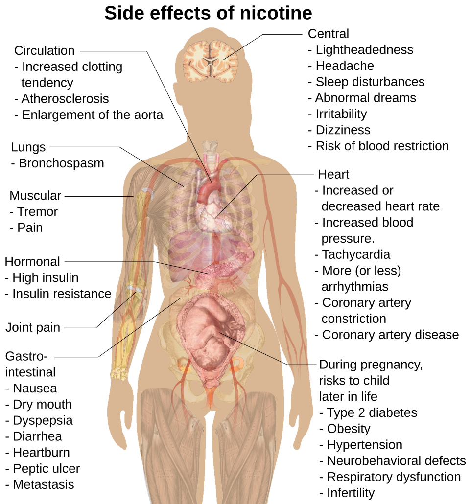 Tabagisme comme facteur de risque cardiovasculaire