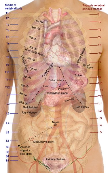 Artériopathie digestive (ischémie mésentérique)