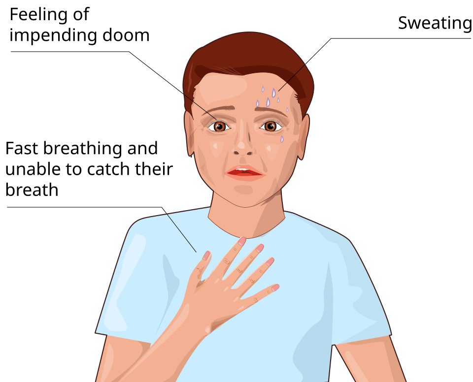 Dissection aortique : diagnostic (TDM, ETO, RP)