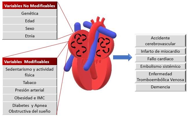 Étiologies de la FA