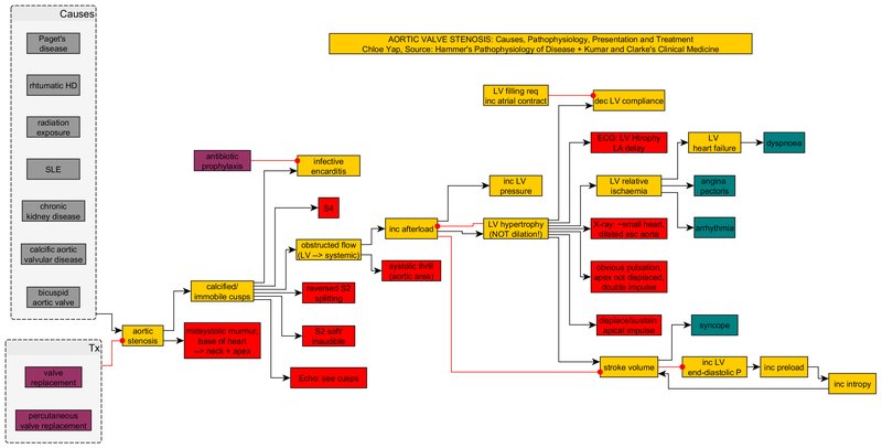 Rétrécissement aortique : étiologies