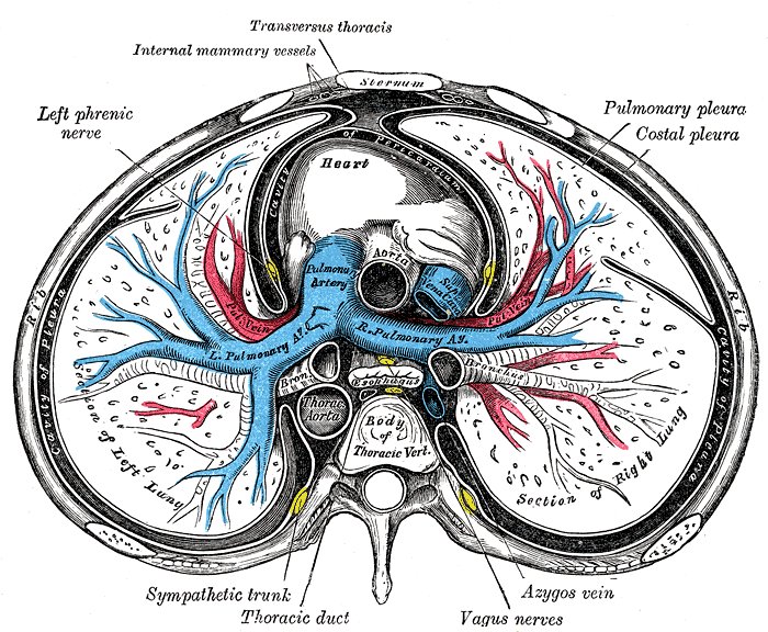 RA : diagnostic, ETT, critères de sévérité