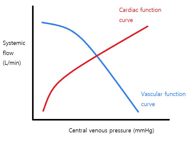 Physiopathologie de l'IC (mécanismes compensateurs)