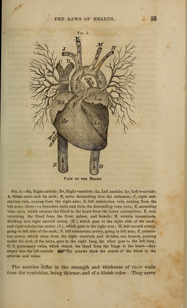 Péricardite récidivante et constrictive