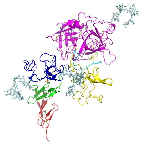 Fibrinolyse intra-veineuse