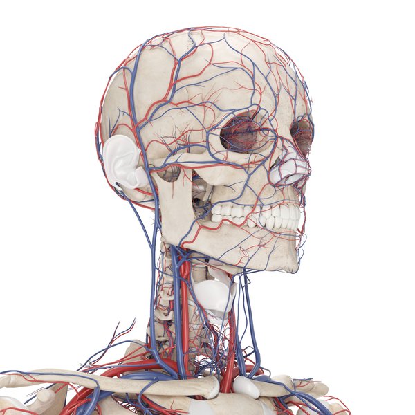 Syndrome du sinus carotidien / Holter implantable