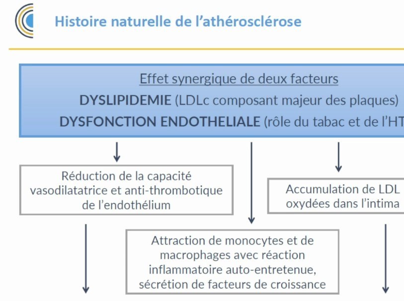 Dyslipidémies et Prévention du Risque Athérosclérotique
