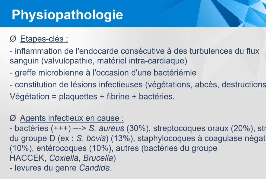 Endocardite Infectieuse
