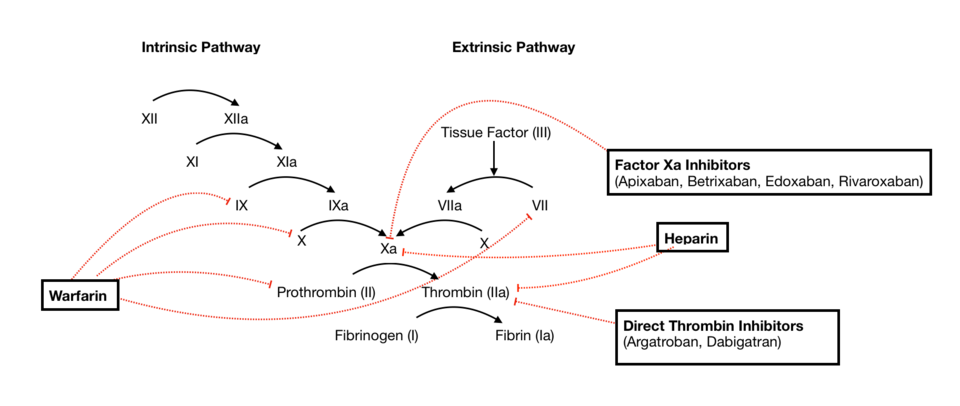 Anticoagulants oraux directs (AOD)