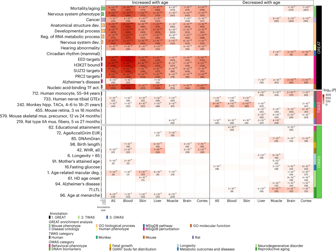 Voies biologiques du vieillissement