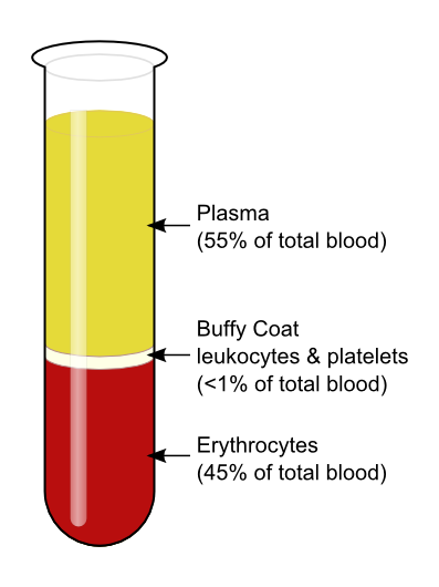 Schéma de centrifugation du sang montrant la séparation plasma, buffy coat et érythrocytes