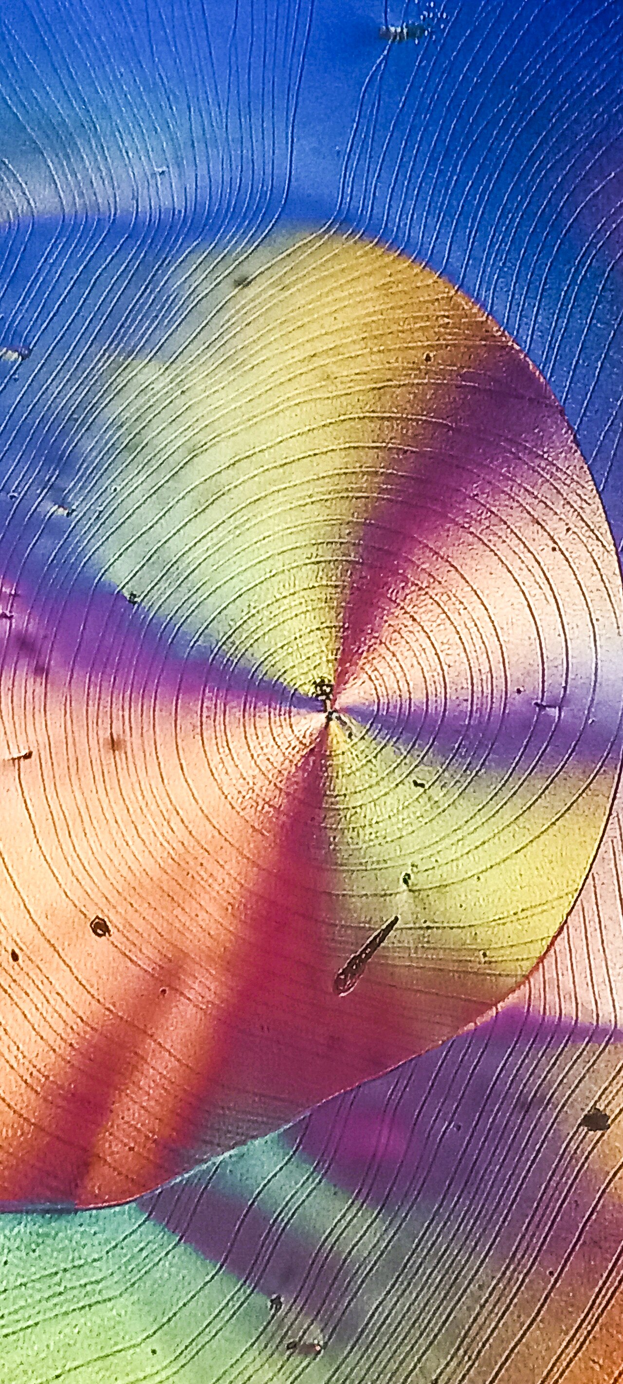 Cristaux en lumière polarisée