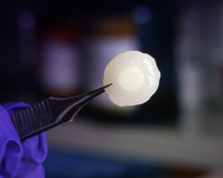 Cartilage reconstitué à base de nanofibres