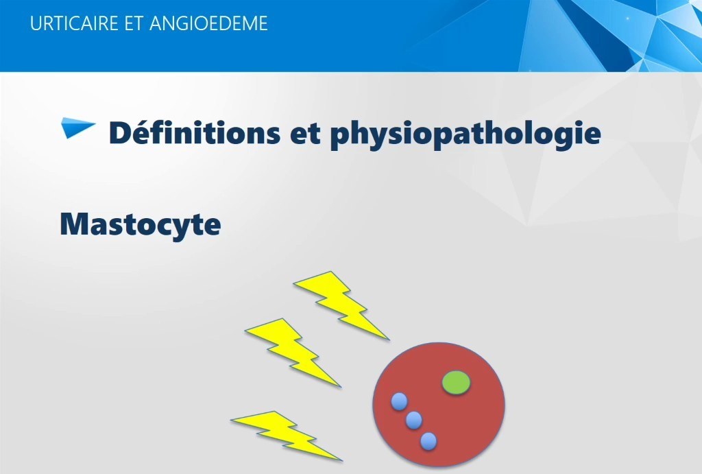 Urticaire, Dermatite de Contact et Hypersensibilité Cutanéo-Muqueuse