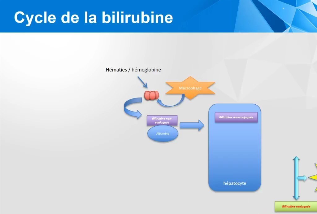 Ictère