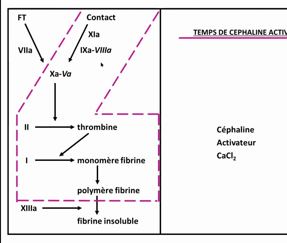 Accidents des Anticoagulants