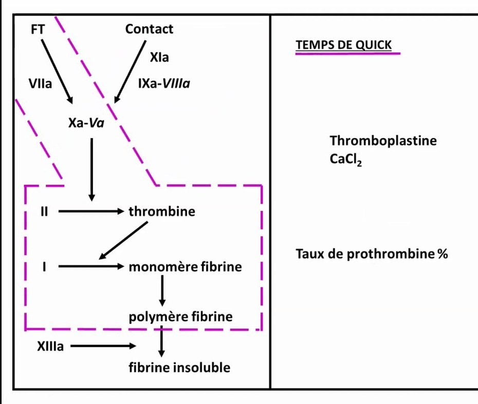 Accidents des Anticoagulants