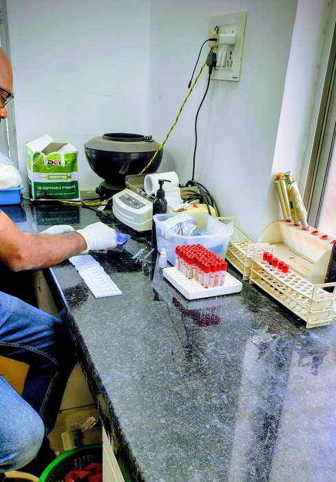 Clone HPN et hémolyse intravasculaire