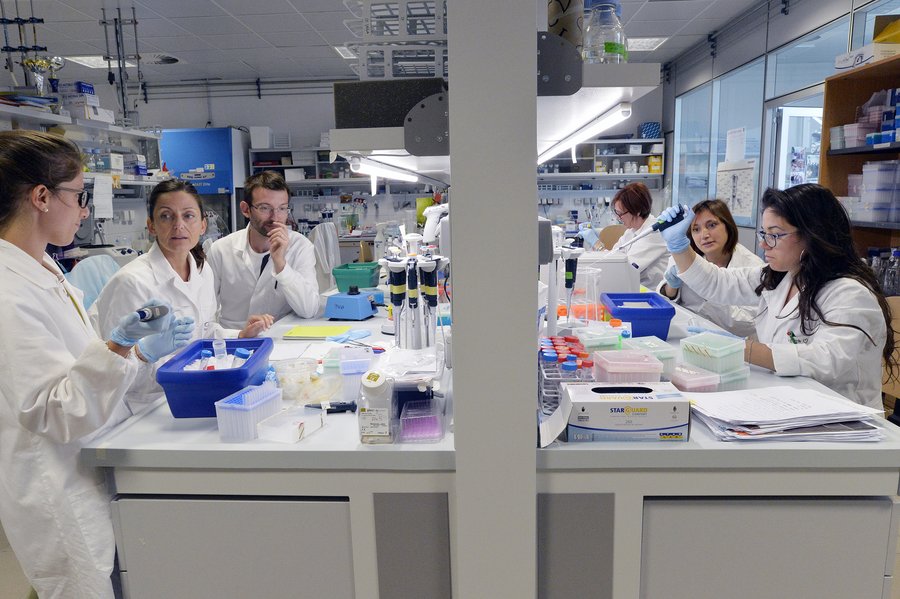 Analyse génomique des cellules hématopoïétiques