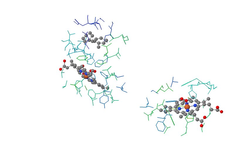 Structuré tétramérique de l'hémoglobine