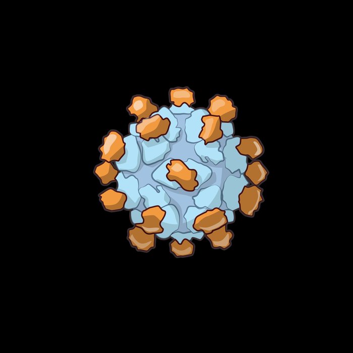 Facteurs infectieux et immunitaires