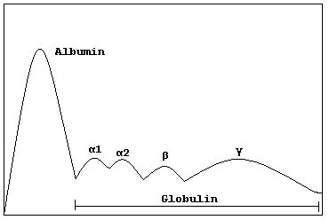Pic monoclonal à l'électrophorèse