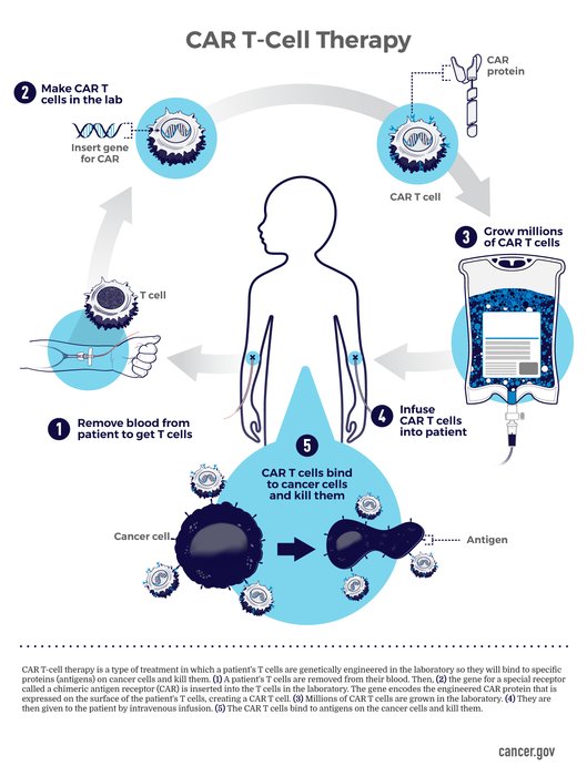 Immunothérapies cellulaires de nouvelle génération