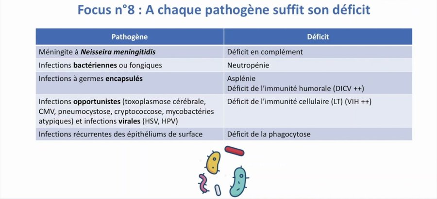 Arbre décisionnel devant des signes d'appel de déficit immunitaire, selon le dosage pondéral des immunoglobulines et la sérologie post-vaccinale