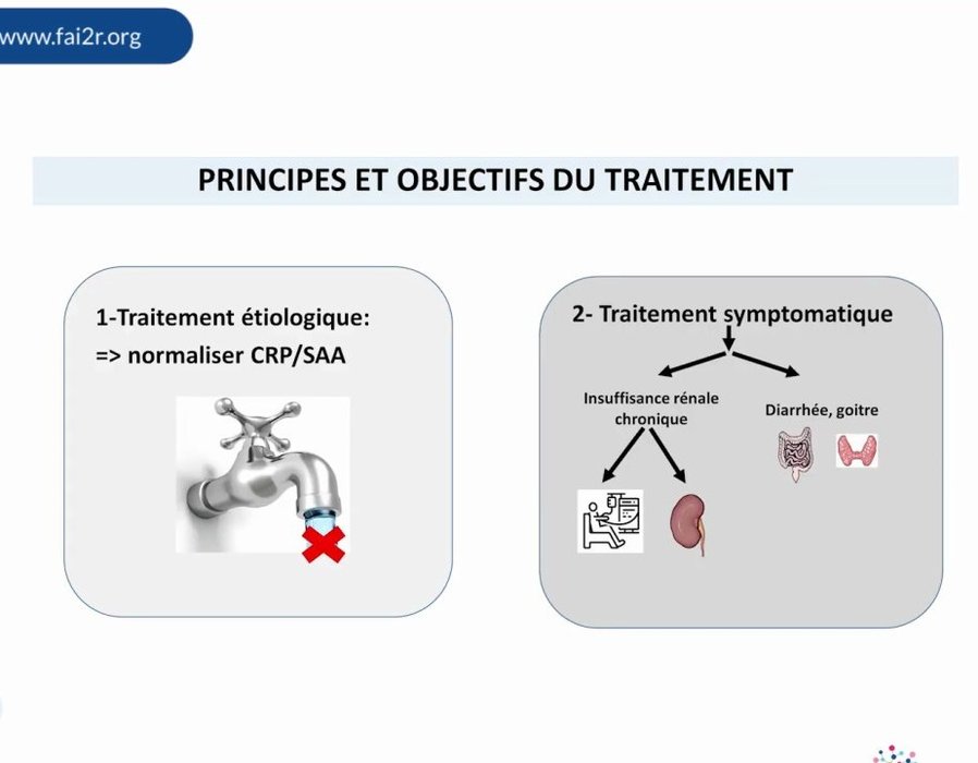 Principes et objectifs du traitement de l'amylose AA : traitement étiologique et traitement symptomatique