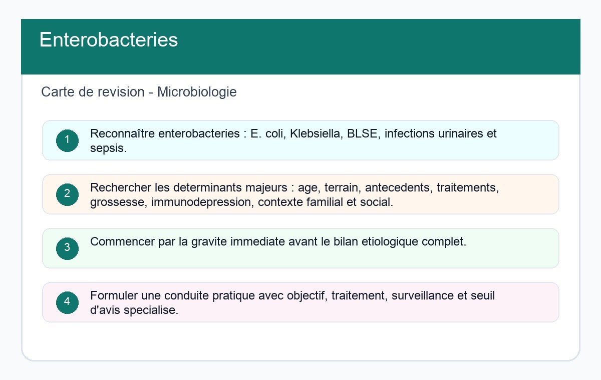 Entérobactéries