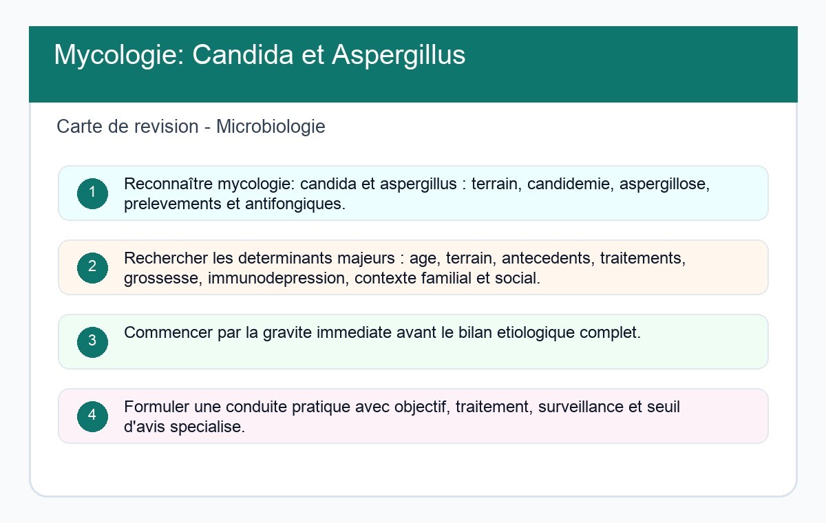 Mycologie: Candida et Aspergillus