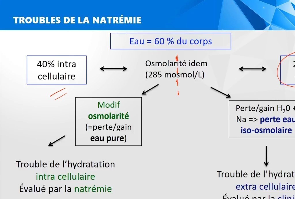 Anomalies du Bilan de l'Eau et du Sodium