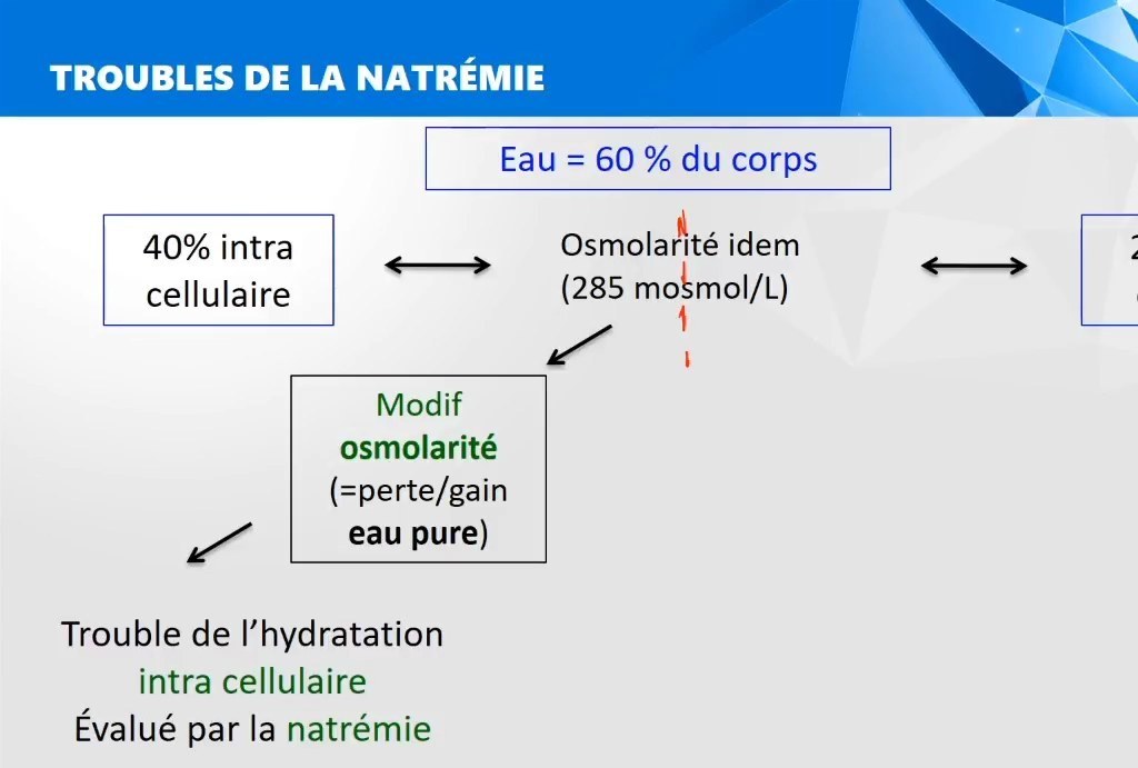 Hyponatrémie et hypernatrémie Hyponatriämie und Hypernatriämie