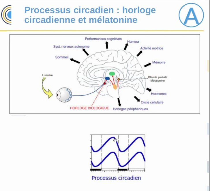 Troubles du Sommeil en Neurologie