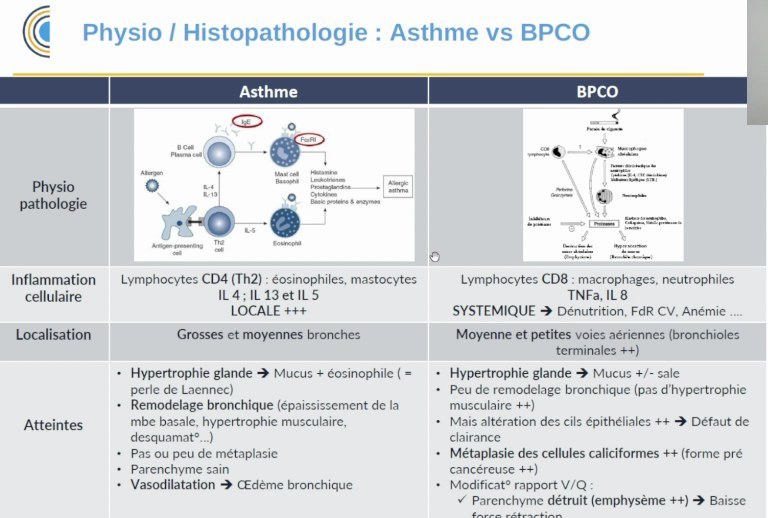 Conférence Introductive d'Oncologie