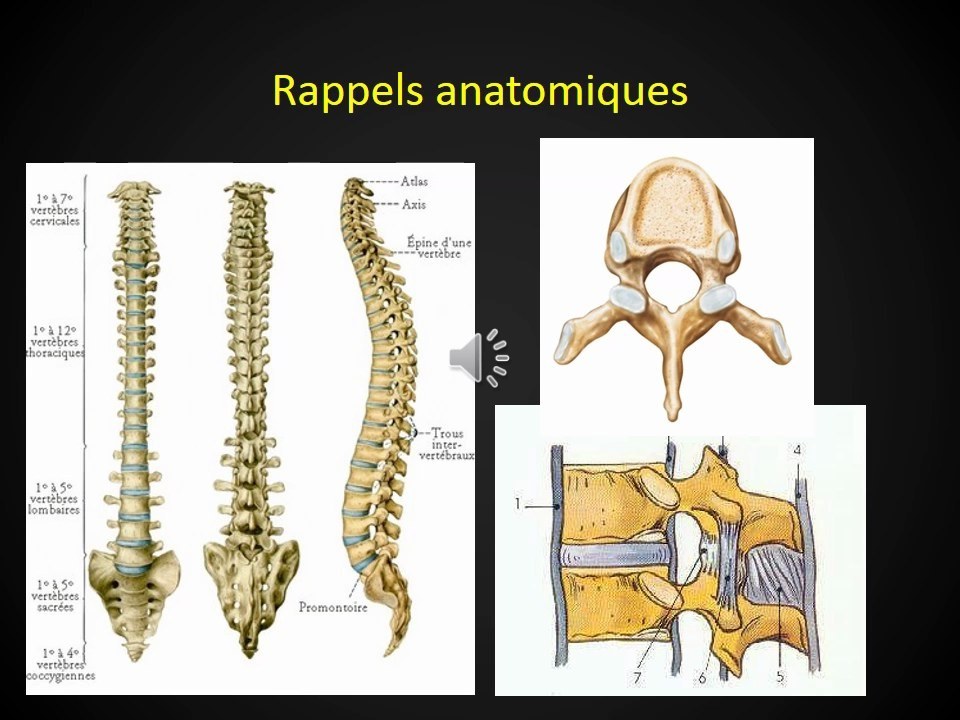 Rappels anatomiques du rachis