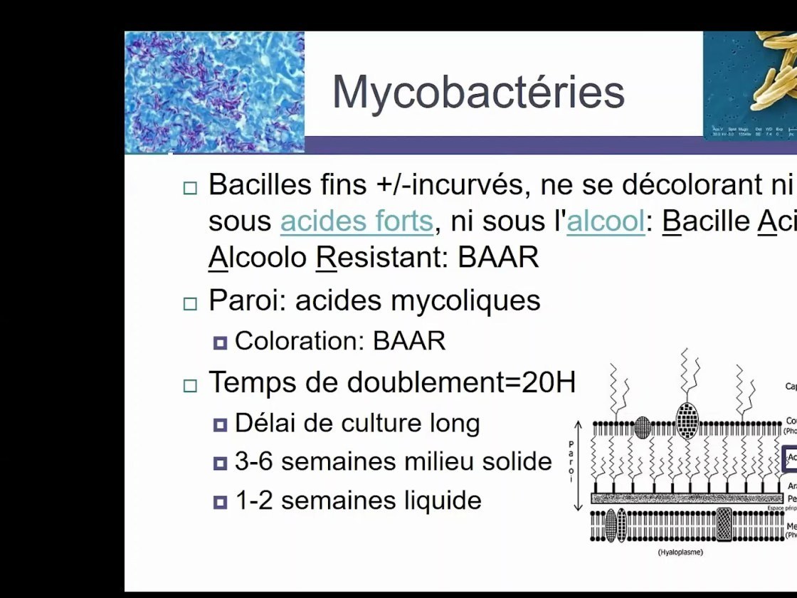Tuberculose Pulmonaire et Extra-Pulmonaire