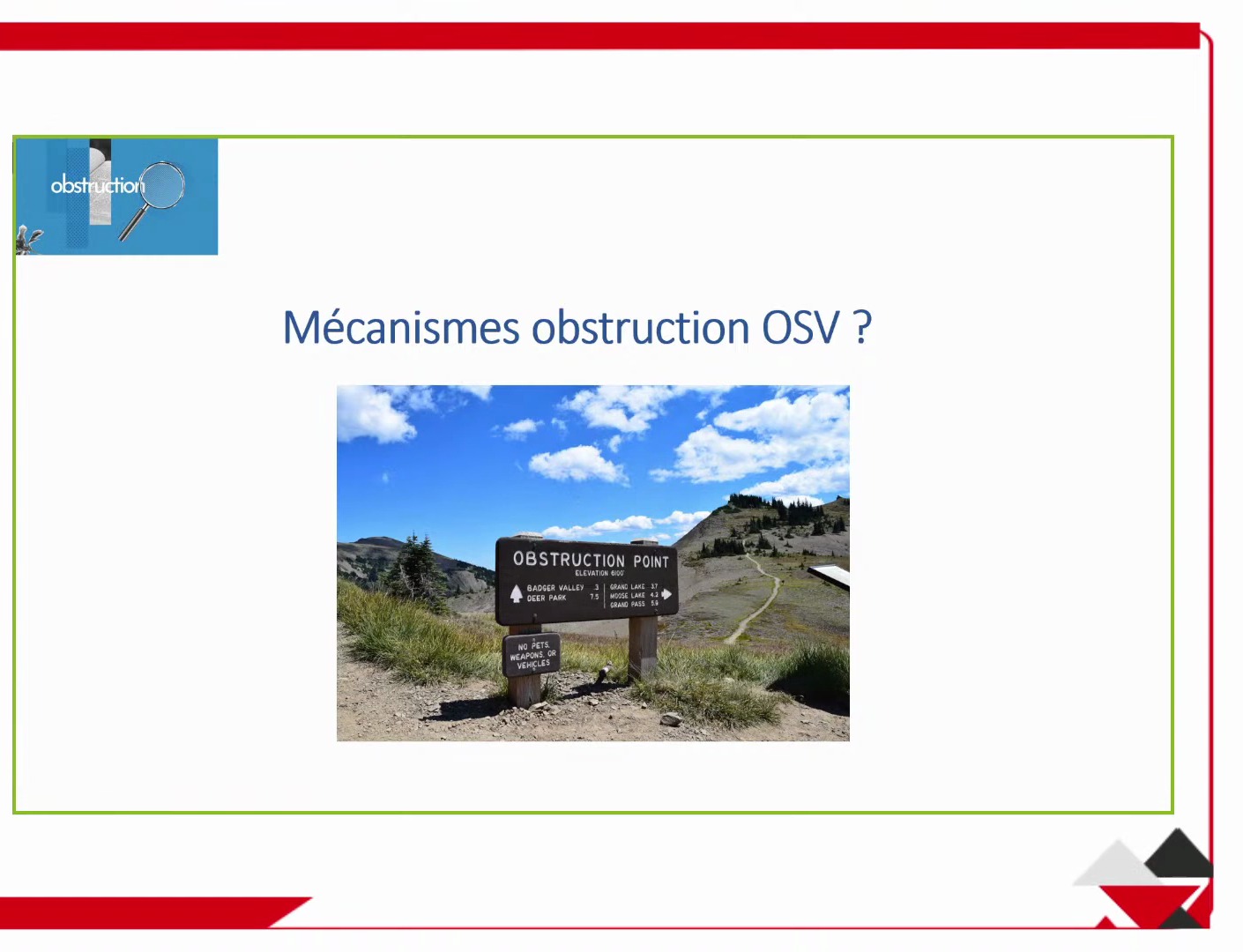 Analogie de l'obstruction sous-vésicale