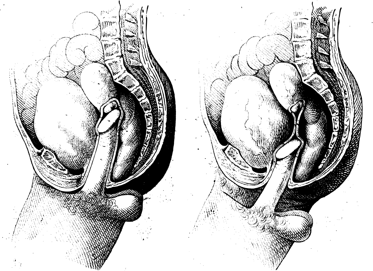 Plates 15 and 16 of roberton s the generative system 1824 de