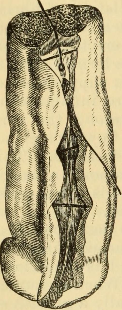 Identifier manualofpatholog00jone find matches title manual