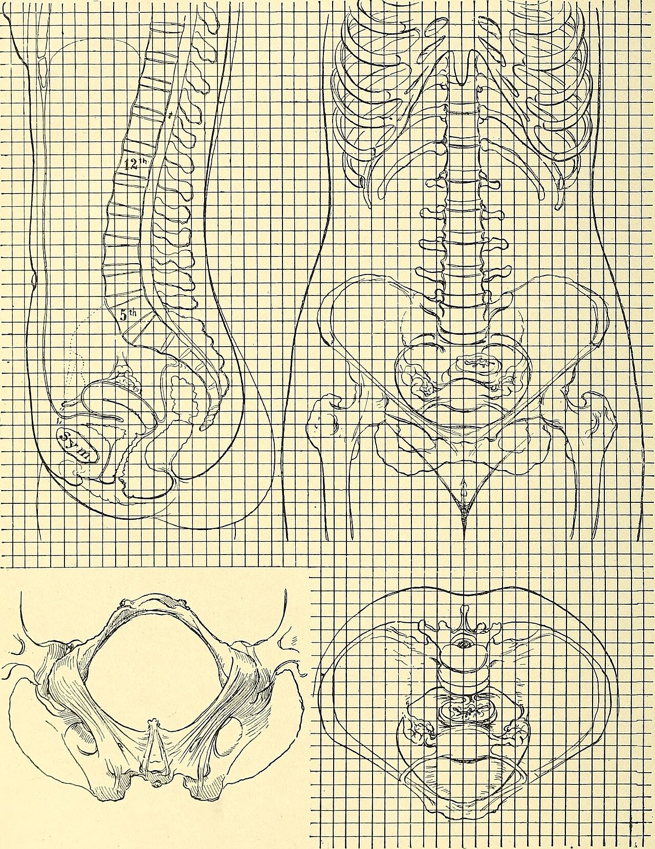 Identifier operativegynecol001kell find matches title operat