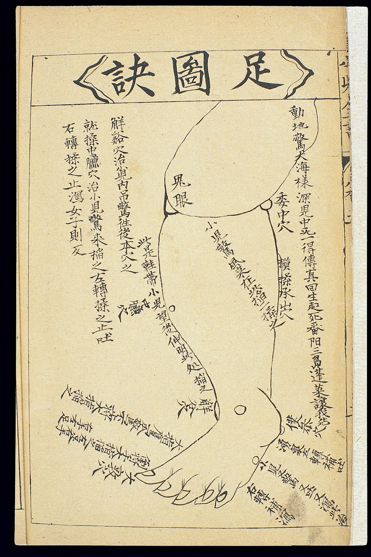 Wan shijia chuanguang si jiyao digest of knowledge handed do