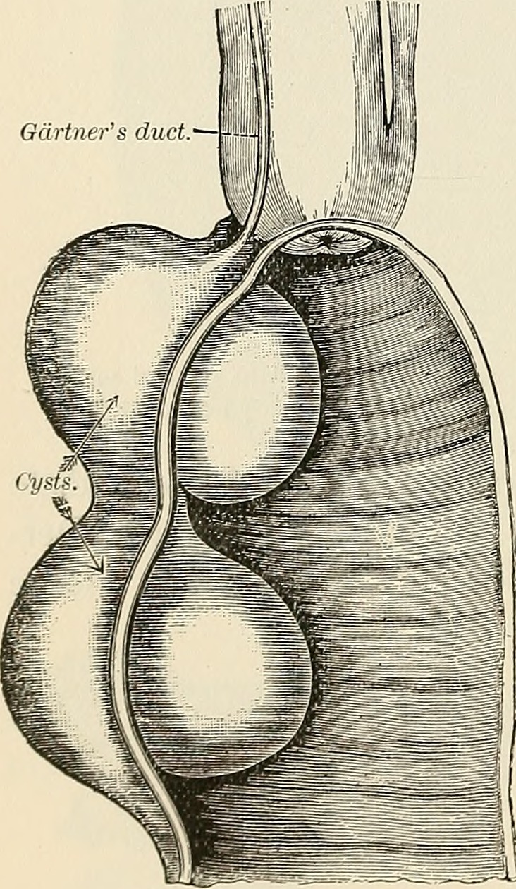 Identifier pathologysurgica1895senn find matches title the p