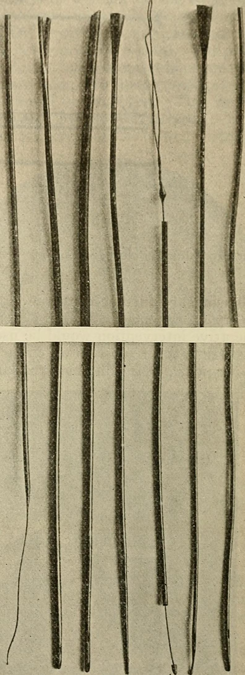 Identifier modernsurgerygen1919daco find matches title moder